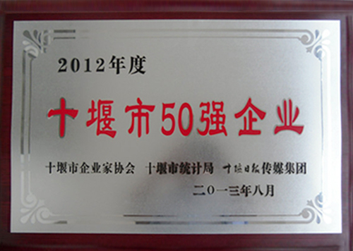 50I(y)2013